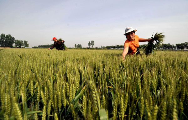 China's rural achievements in the past decade