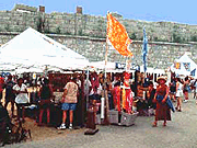 The Newport Folk Festival（紐波特民間藝術節）