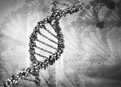 美國科學(xué)家發(fā)現(xiàn)DNA生物時鐘